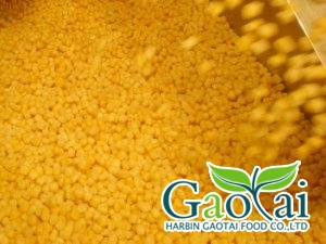 <b>IQF sweet corn kernels</b>