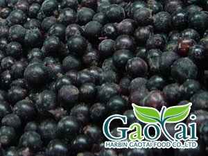 <b>IQF black currant</b>