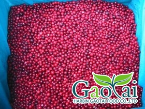 <b>IQF lingonberry</b>