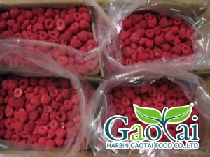 <b>IQF raspberry whole</b>