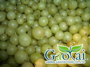 IQF gooseberry