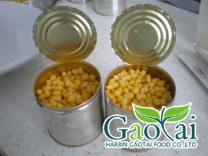 Canned sweet corn kernels in brine