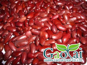 English red kidney bean