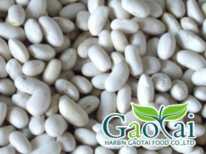 Japanese white kidney bean